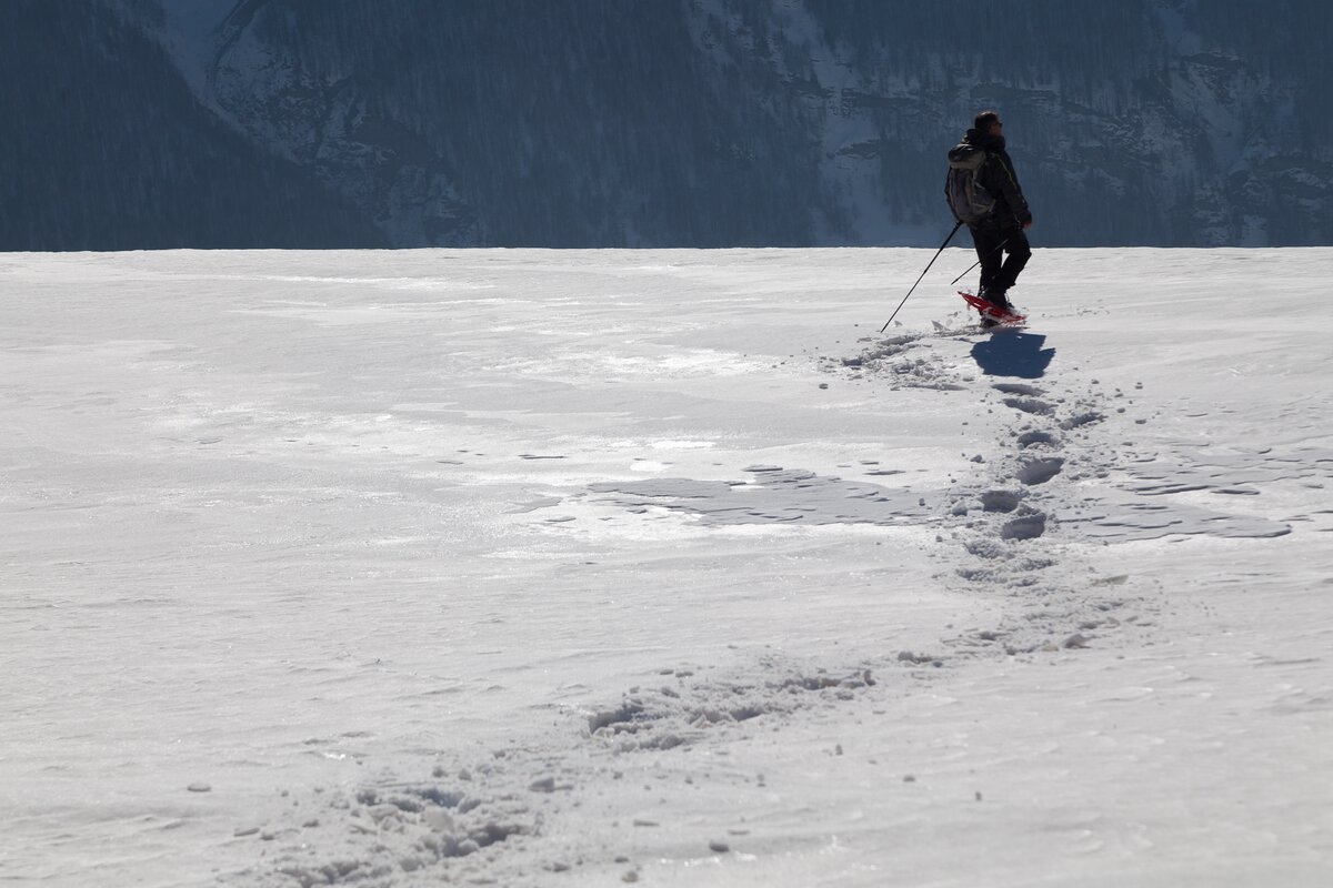 una persona di spalle per tre quarti mentre sta facendo un'escursione con le ciastre