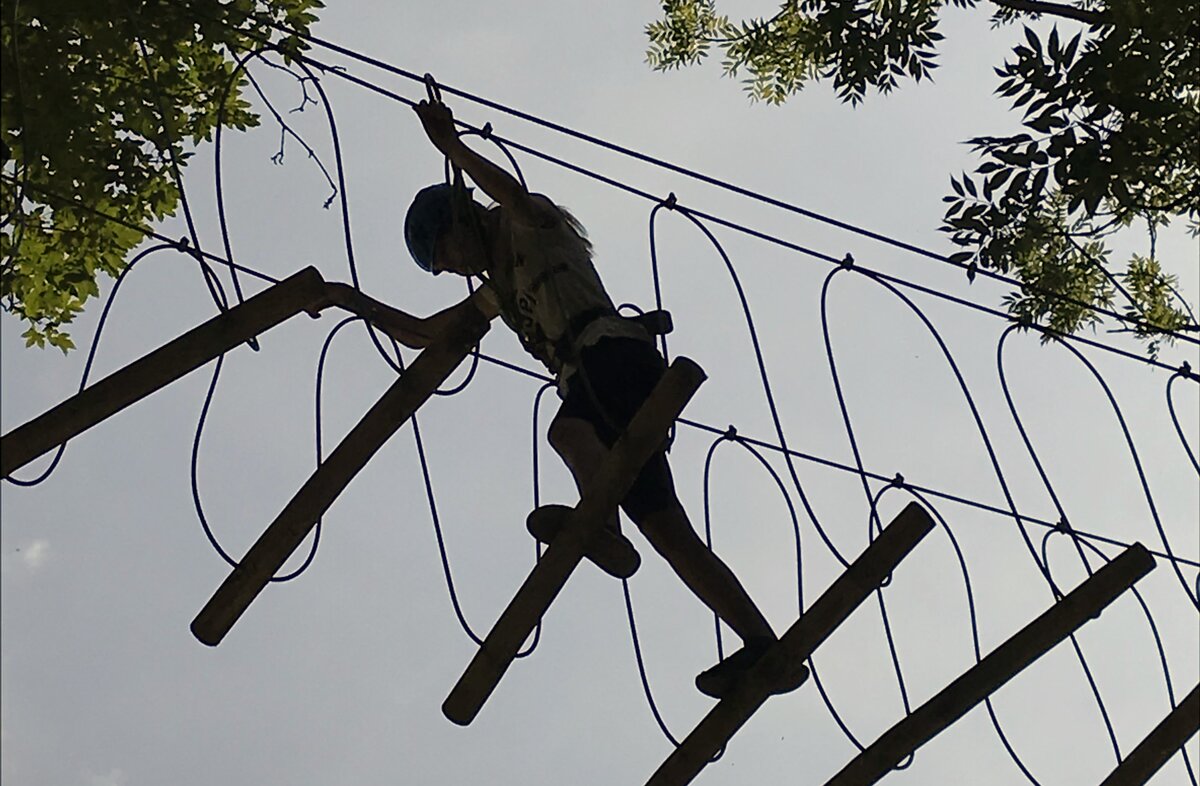 foto scattata dal basso verso l'alto, si vede un bambino in controluce impegnato a camminare sui pioli di un percorso avventura sospeso. ai lati dell'immagine le foglie di due alberi.