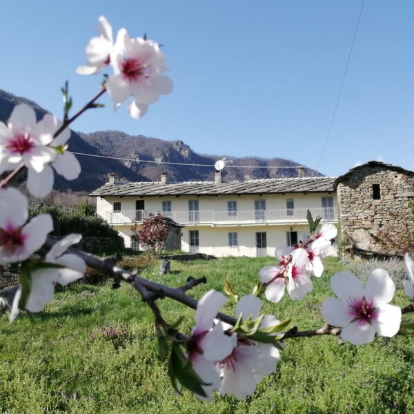 Le faye B&B e home restaurant