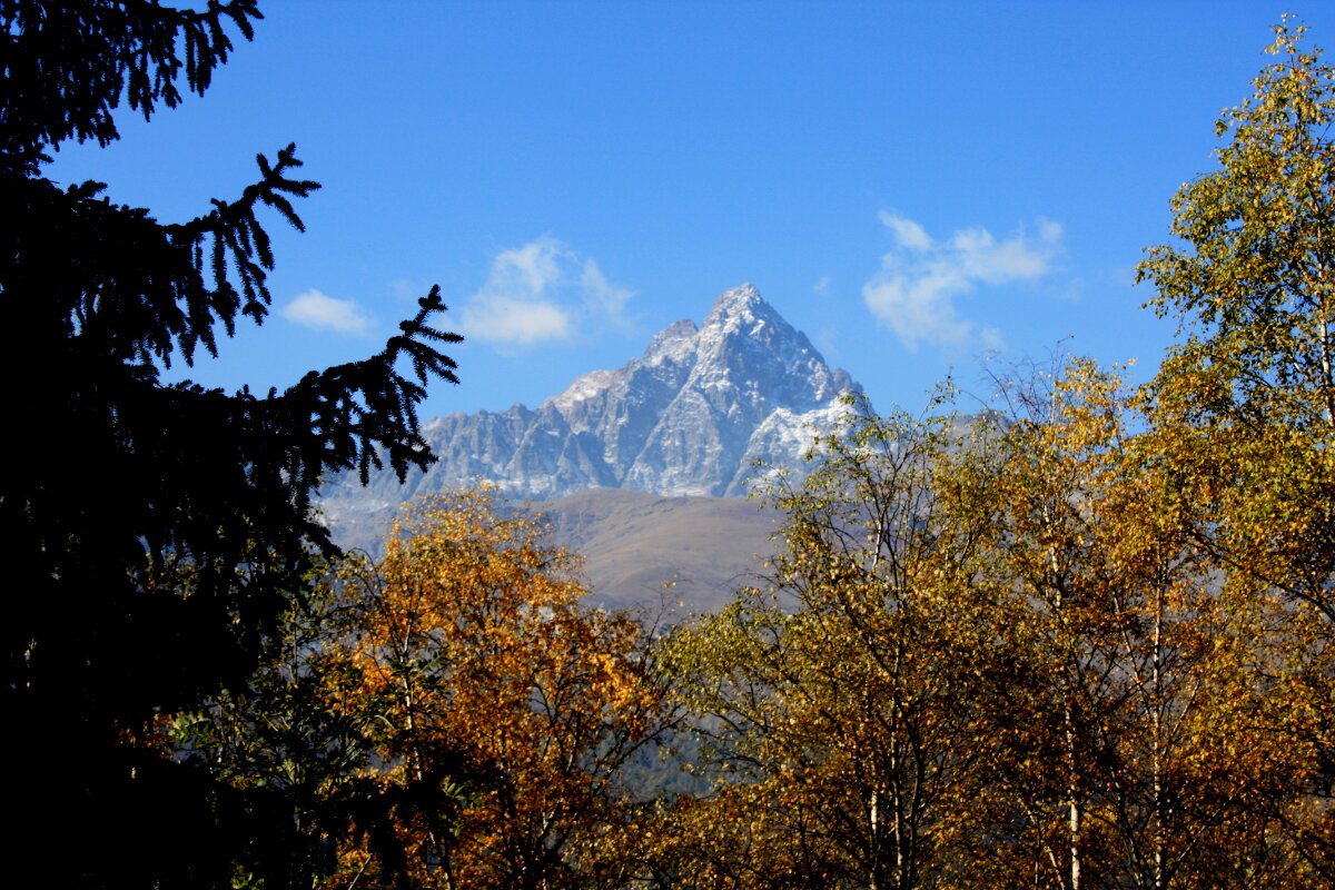 il Monviso si staglia sullo sfondo di un bosco autunnale, il cielo è terso e azzurro