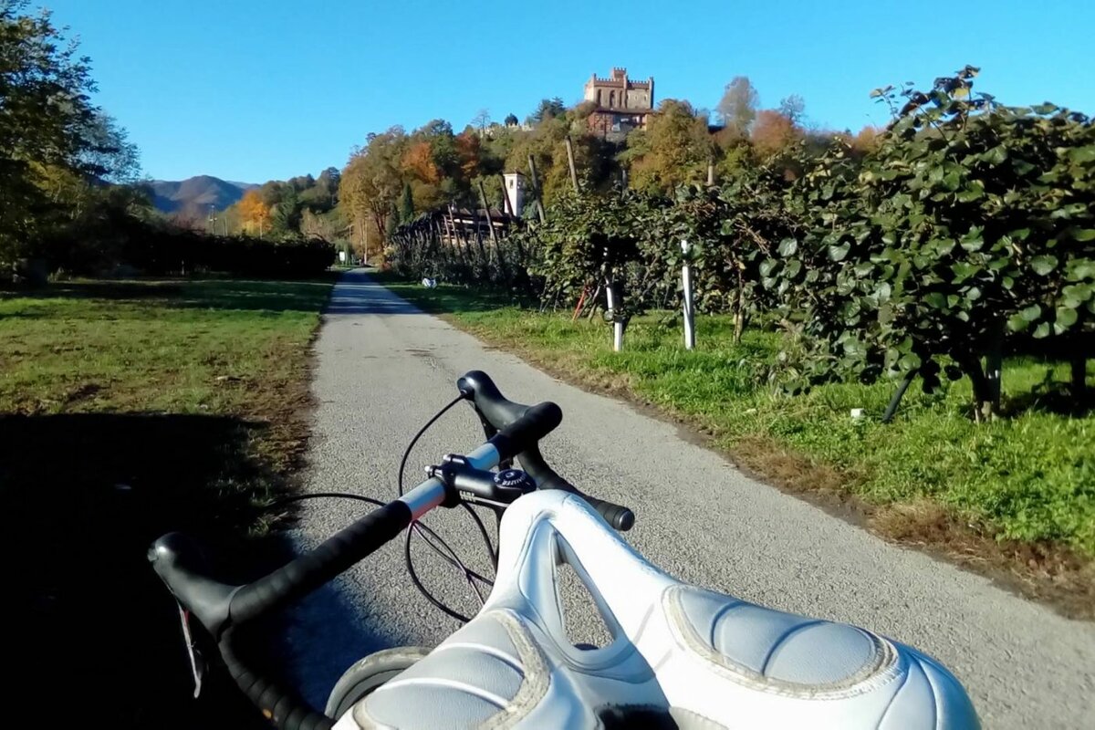 foto scattata da un ciclista in sella alla sua bicicletta, di cui si vede il manubrio e la ruota anteriore. di fronte ci sono alberi e una stradina di campagna