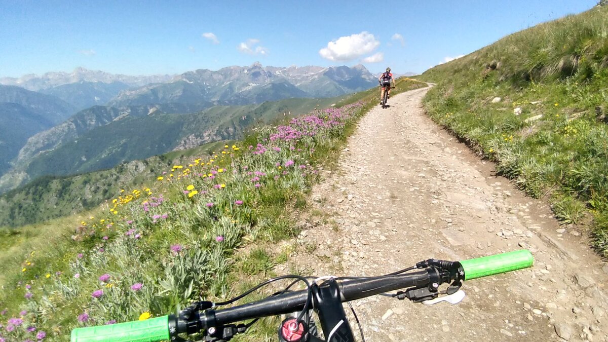in primo piano il manubrio di una bicicletta MTB, più avanti, su una strada sterrata circondata da fioriture colorate, un ciclista. Sullo sfondo, le montagne.